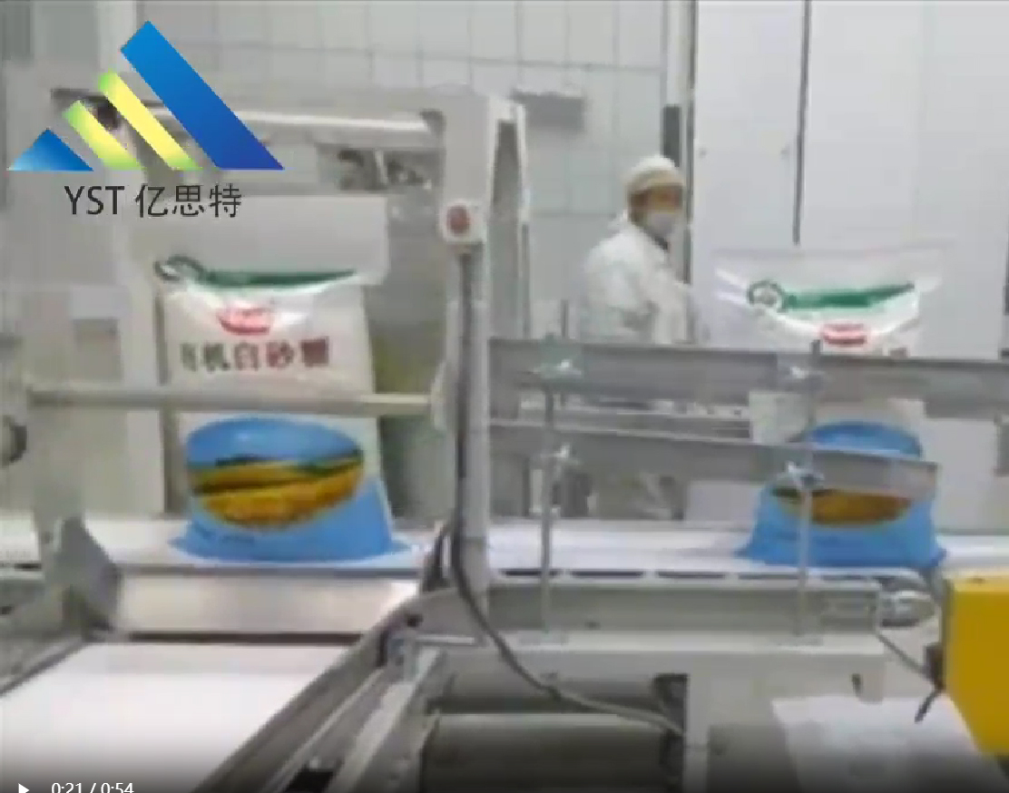 白糖自動(dòng)包裝碼垛生產(chǎn)線工作視頻