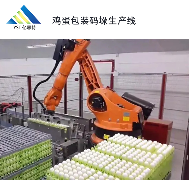 雞蛋碼垛包裝生產(chǎn)線客戶案例
