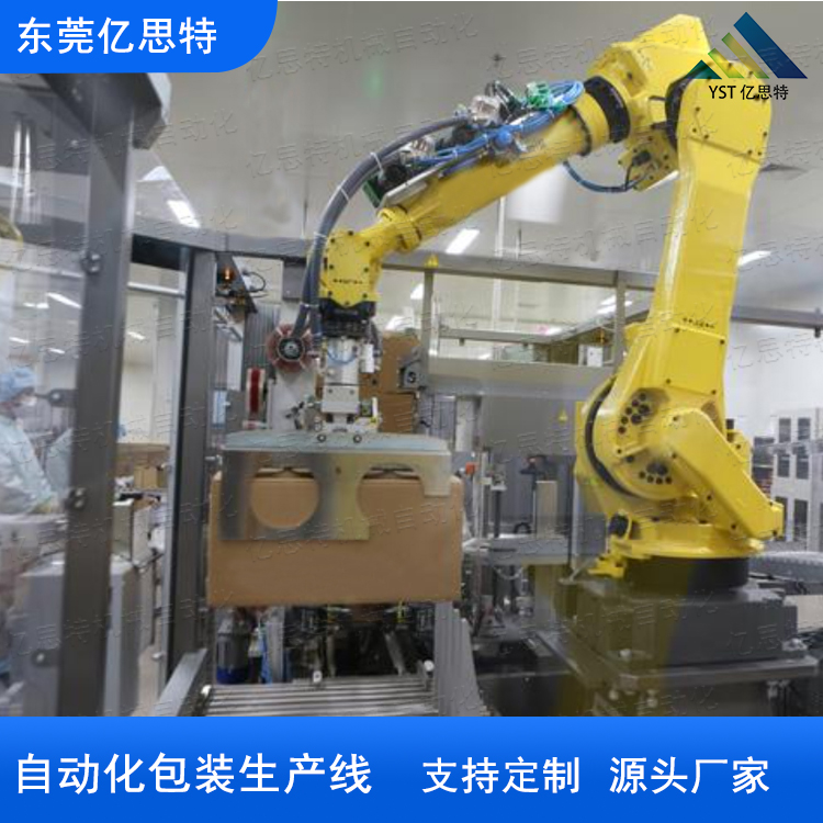 紙箱碼垛機(jī)包裝生產(chǎn)線案例